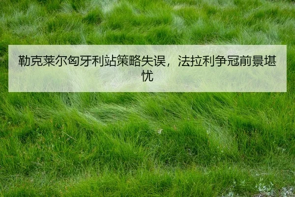 lei-ke-lai-er-xiong-ya-li-zhan-ce-lve-shi-wu-fa-la-li-zheng-guan-qian-jing-kan-you-2-137.jpg