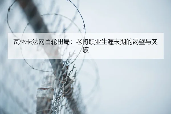wa-lin-ka-fa-wang-shou-lun-chu-ju-lao-jiang-zhi-ye-sheng-ya-mo-qi-de-ke-wang-yu-tu-po-3-441.jpg