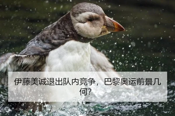 伊藤美诚退出队内竞争，巴黎奥运前景几何？