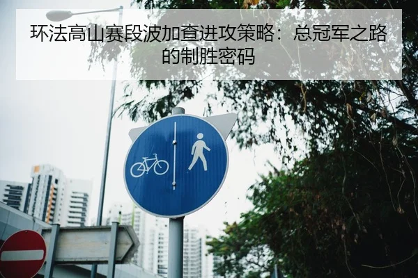 环法高山赛段波加查进攻策略：总冠军之路的制胜密码