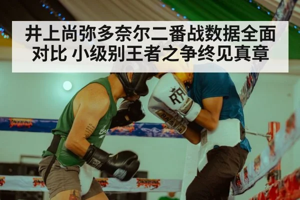 井上尚弥多奈尔二番战数据全面对比 小级别王者之争终见真章
